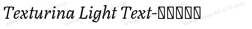 Texturina Light Text字体转换